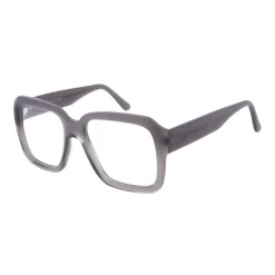 4601 Optical Frame