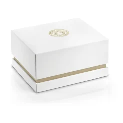 Aion Finestra Data Bracciale Acciaio Inossidabile