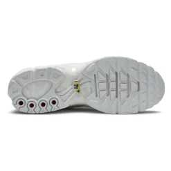 Air Max Plus