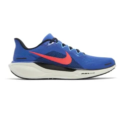 Air Zoom Pegasus 41