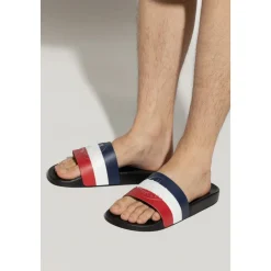 Basile Slides