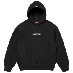 Box Logo Hooded Sweatshirt