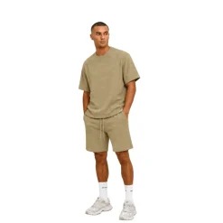 Completo Maglia Zomerset