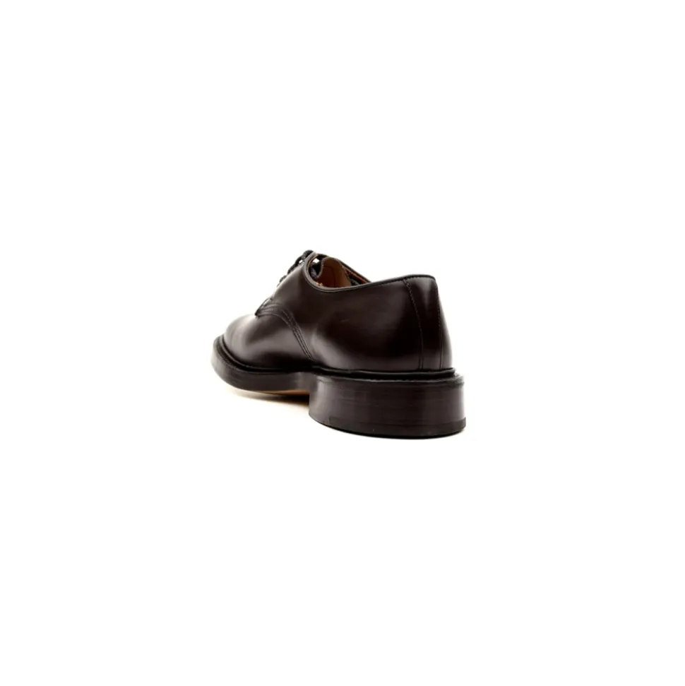 Daniel Derby Shoe