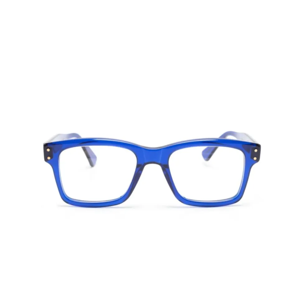 ERATO2 Optical Frame