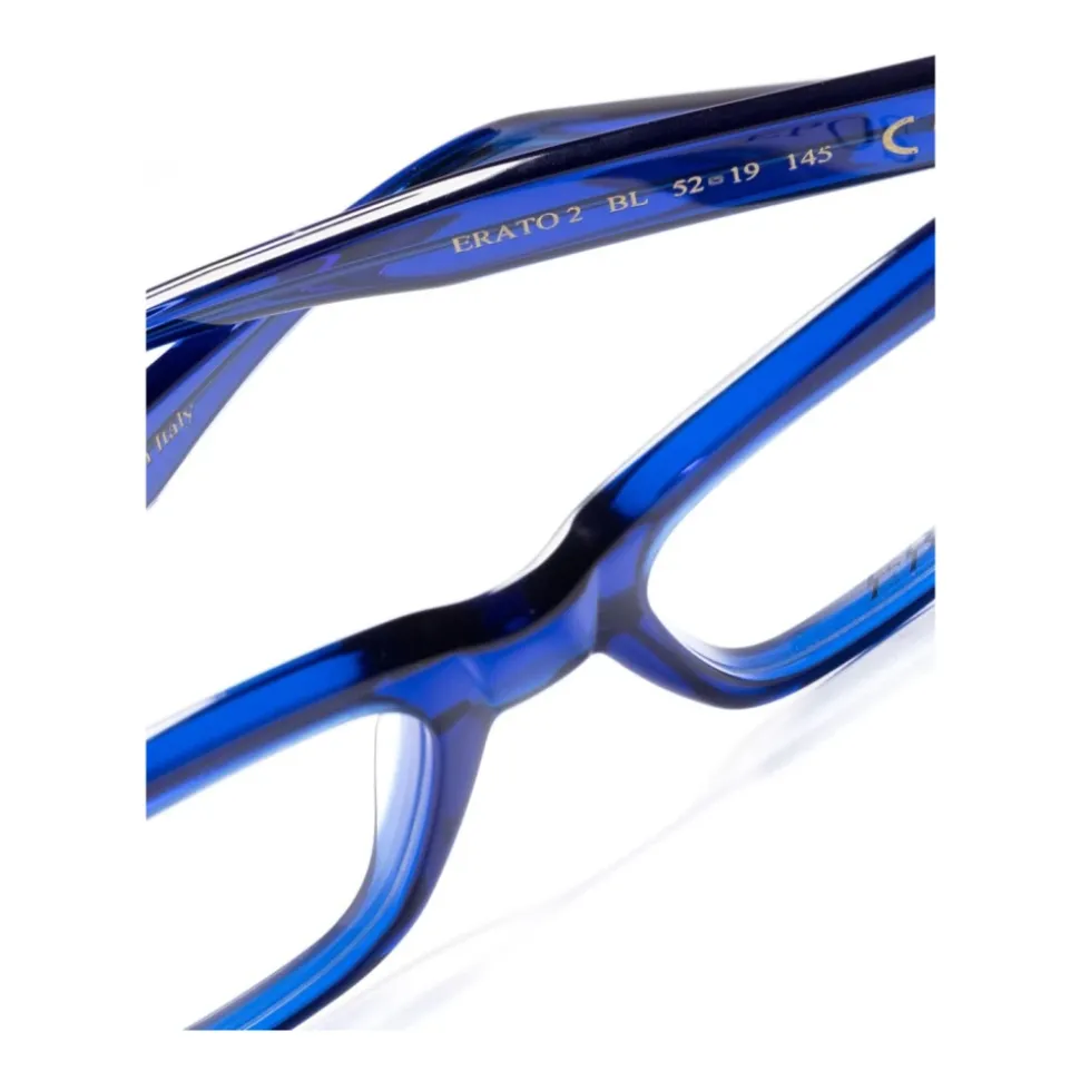 ERATO2 Optical Frame