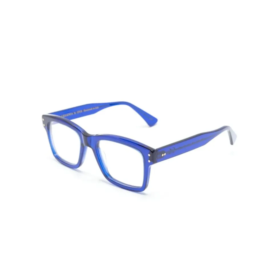 ERATO2 Optical Frame