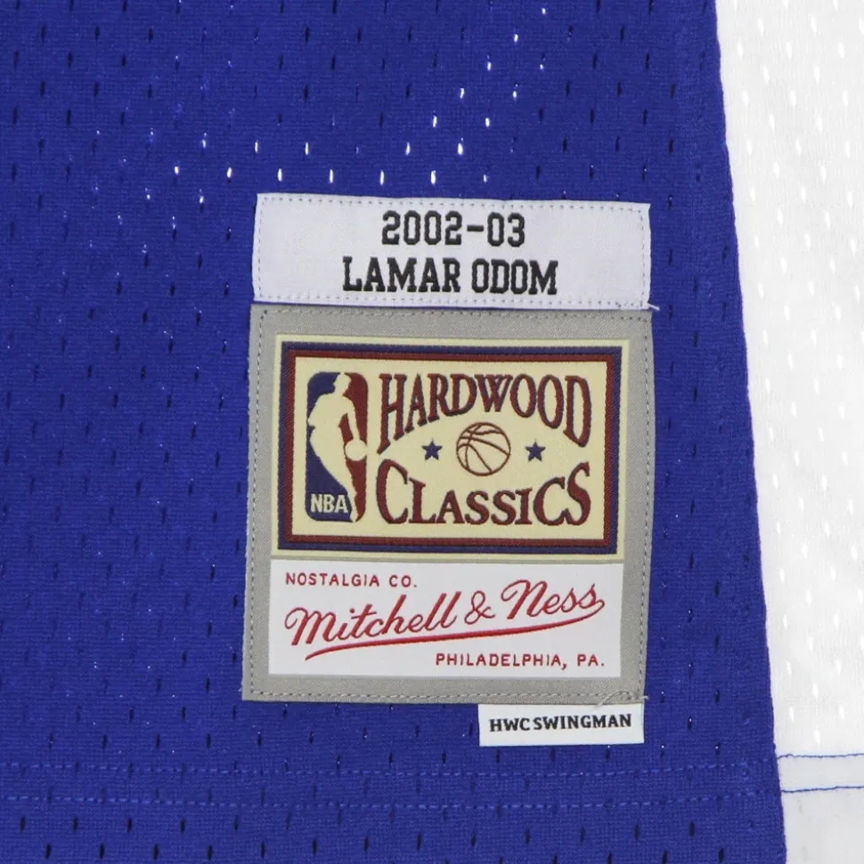 Hardwood Classics Swingman Jersey