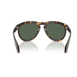 Isopleth Sunglasses
