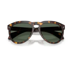 Isopleth Sunglasses