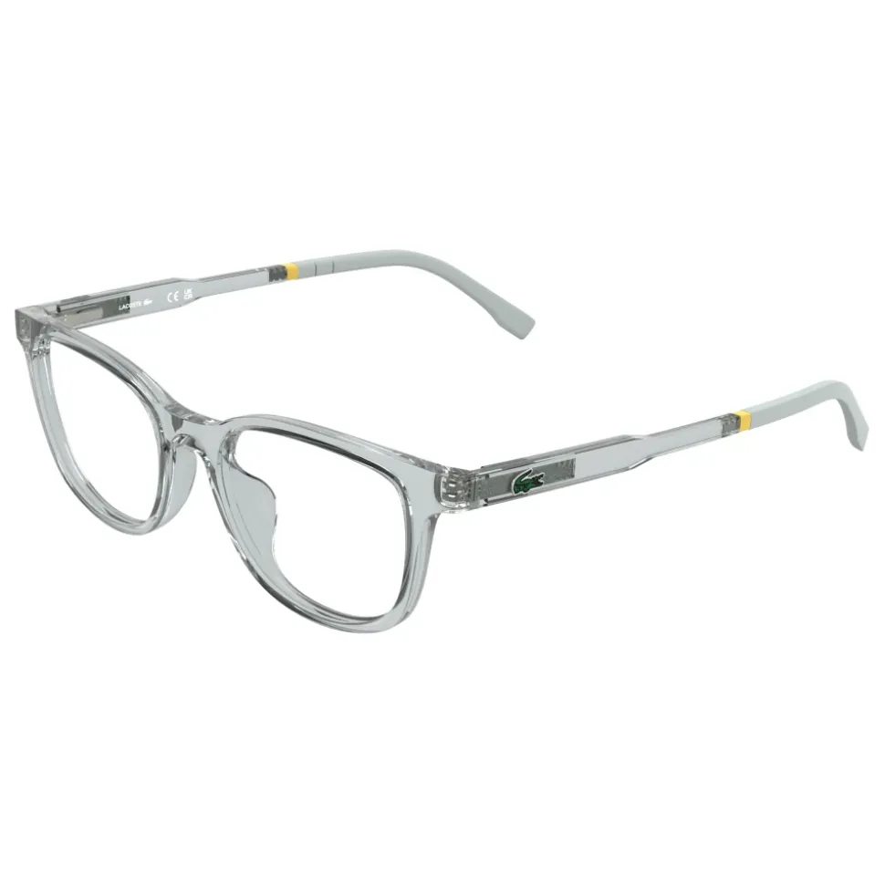 L3669 Optical Frame