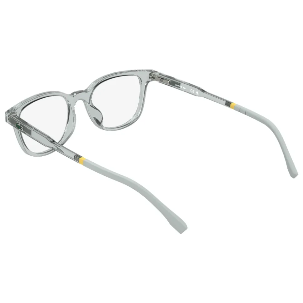 L3669 Optical Frame