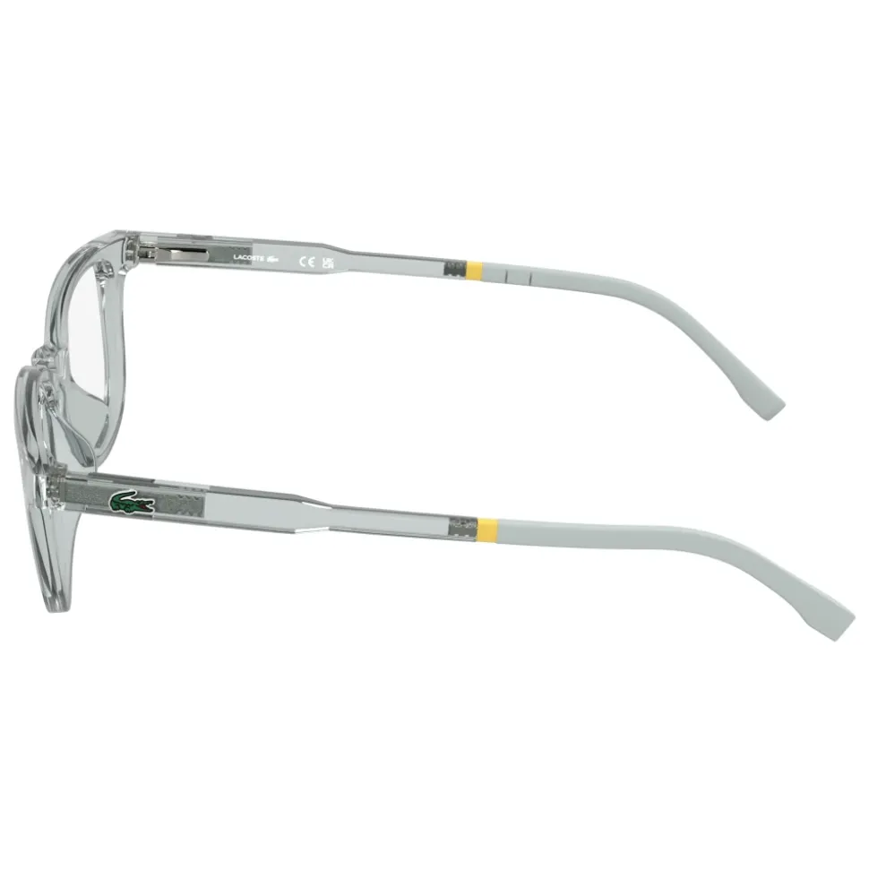 L3669 Optical Frame