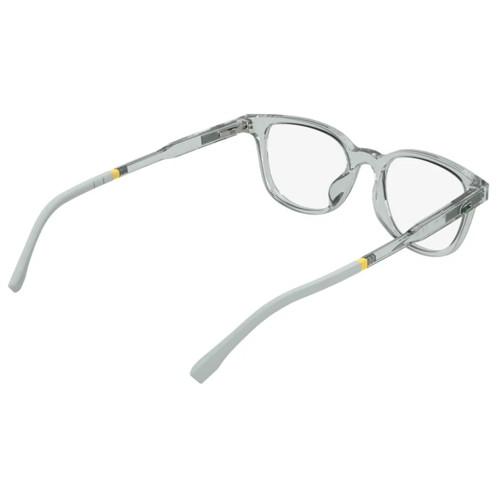 L3669 Optical Frame