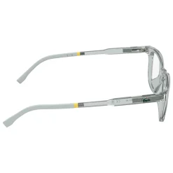 L3669 Optical Frame