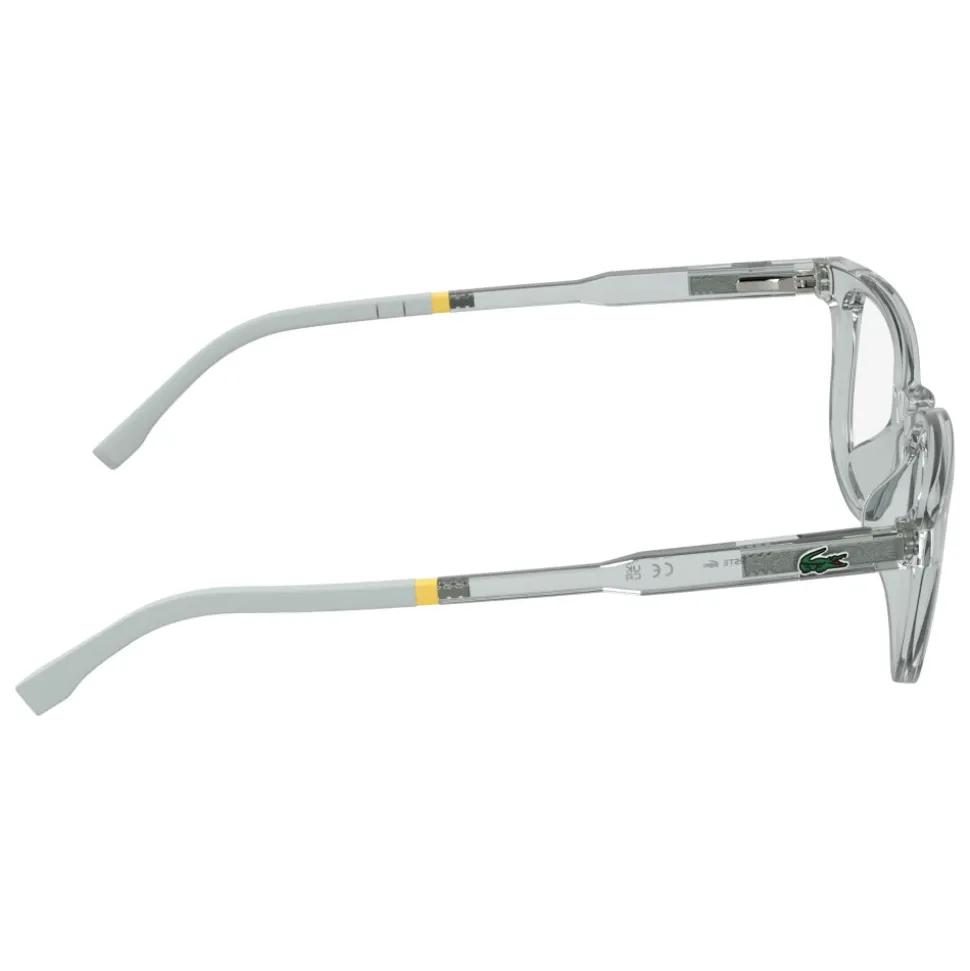 L3669 Optical Frame