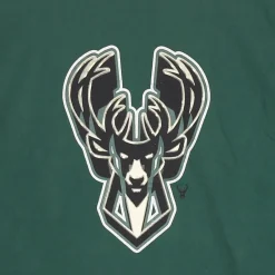 Maglietta con logo Boston Celtics