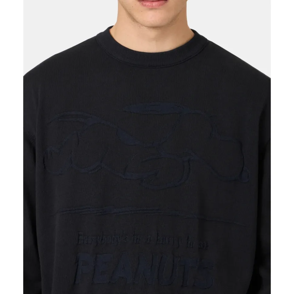 Maglione Girocollo in Cotone con Intarsio Peanuts