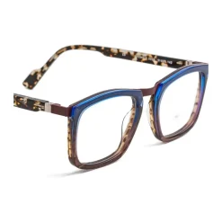 OTOMO2 Optical Frame