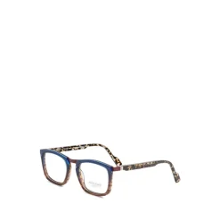 OTOMO2 Optical Frame