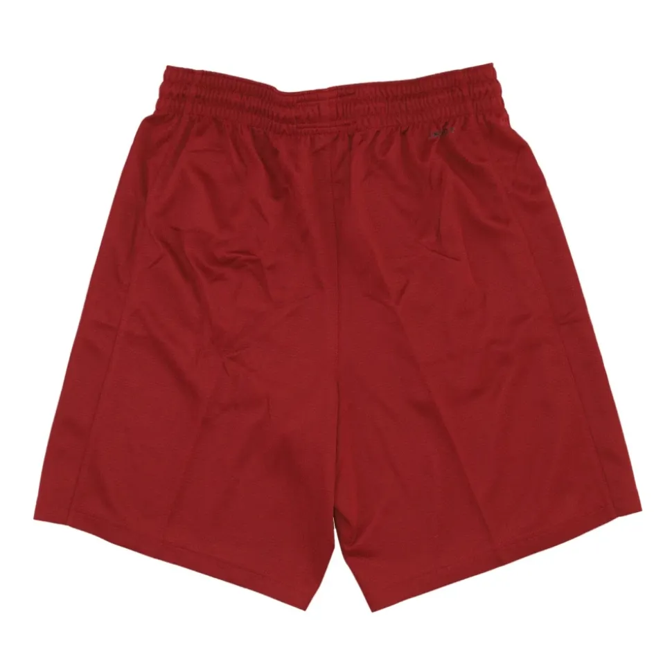 Pantaloncini da Basket Limited Road