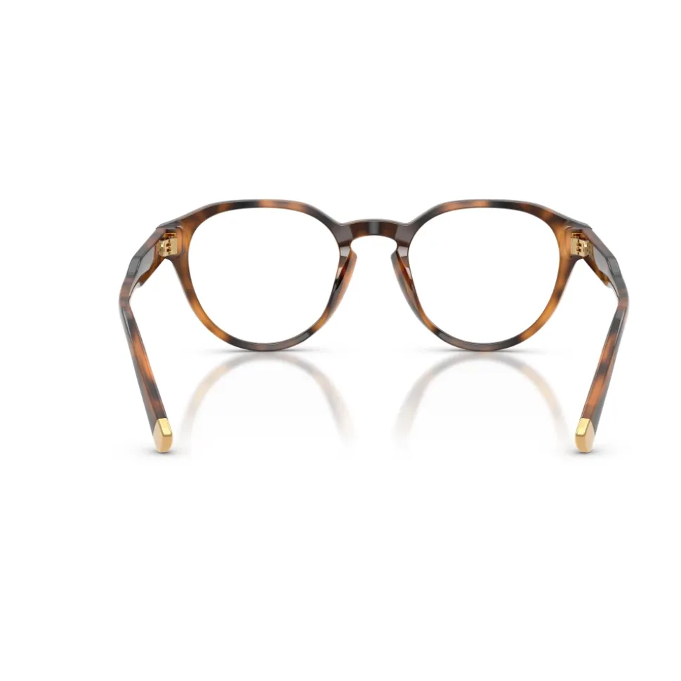 PH2304U Optical Frame