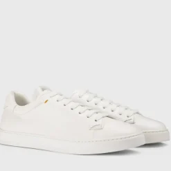 Plonge Sneaker