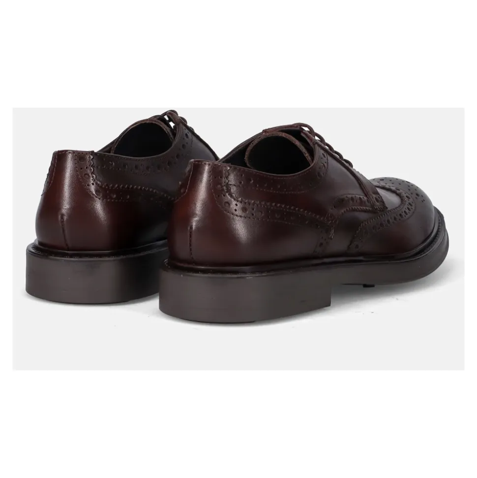 Scarpe Basse Classiche Marroni