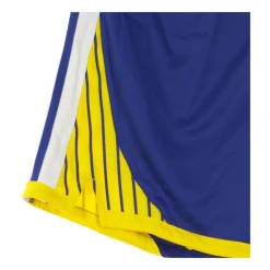 Shorts da Basket Icon Edition Swingman