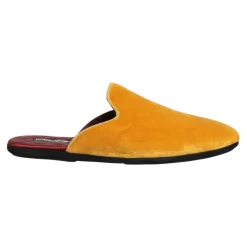Slides