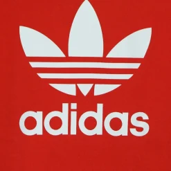 Sweatshirts & Hoodies