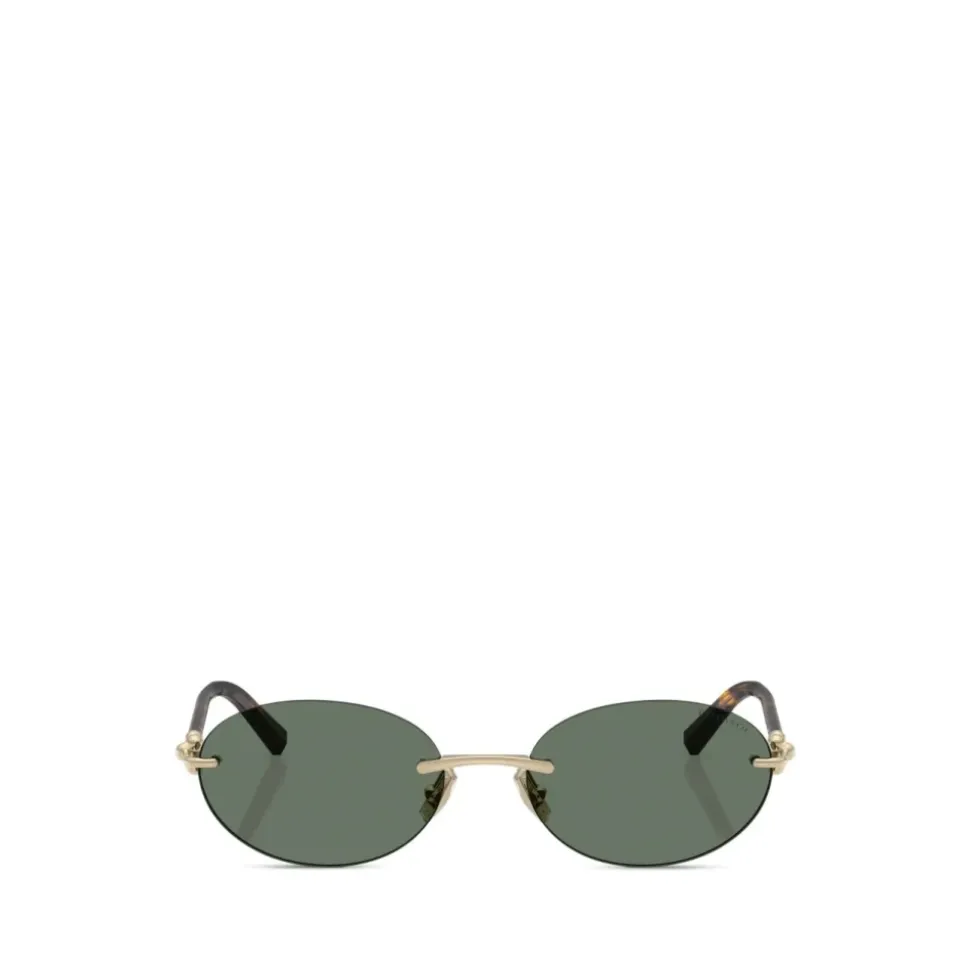 TF3104D Sunglasses