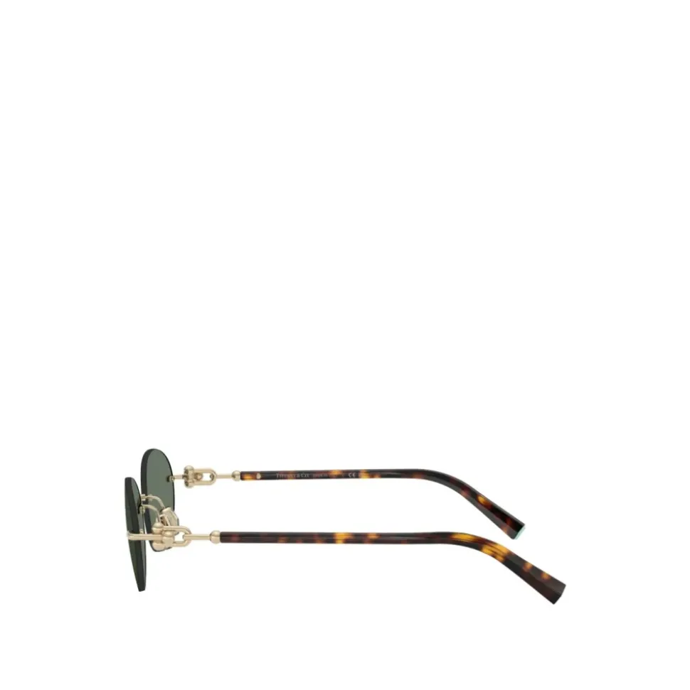 TF3104D Sunglasses