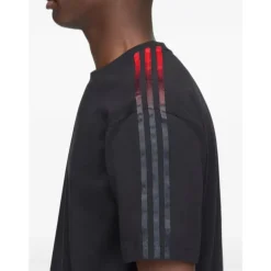 T-shirt in Cotone con Strisce Sfumate