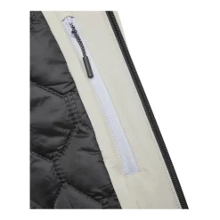 Winter Jackets